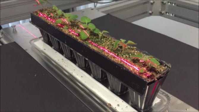 Plantsampling robot ondersteund door "ogen" van Aris
